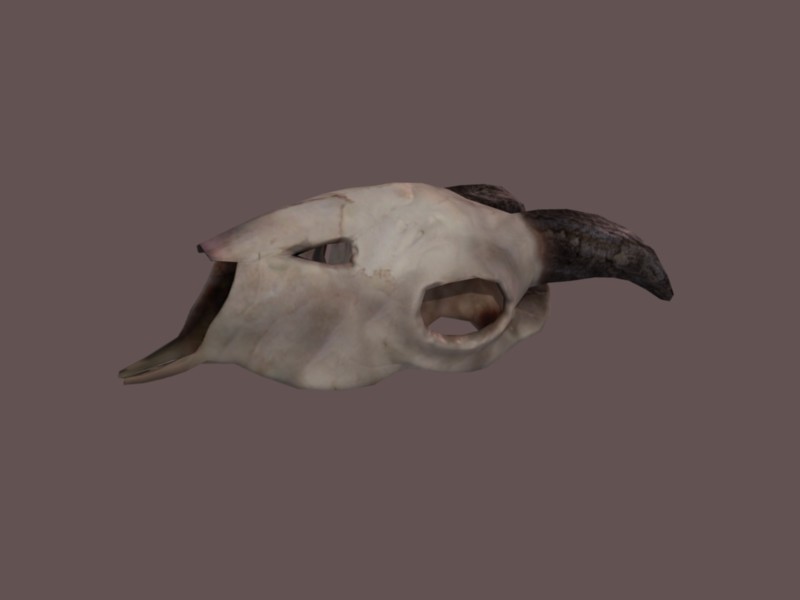 Goat Skull preview image 1